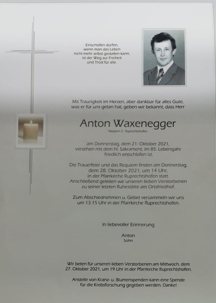 08 07 Amon anton