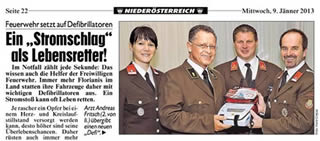 2013 01 09 defi kronenzeitung thumb